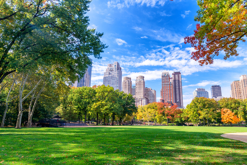 Central Park Nueva York