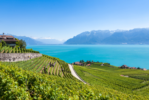 Lago Lemán en Suiza