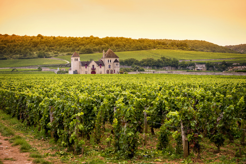 Un paseo por Borgoña, una región idílica en Francia Un paseo por Borgoña, una región idílica en Francia