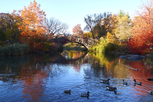 The Pond en Central Park