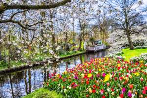 Parque Keukenhof en Holanda