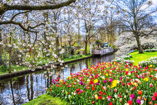 Parque Keukenhof en Holanda