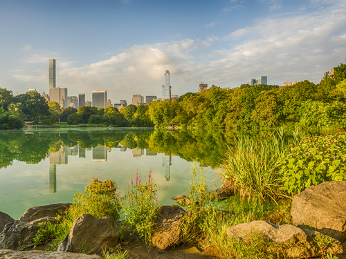 The Lake en Central Park
