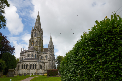 Catedral de Cork