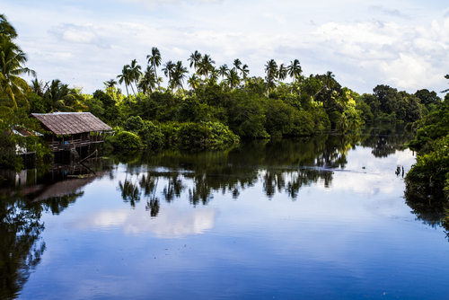 Borneo, viajamos a una isla espectacular