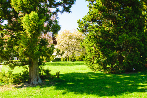 Jardín Botánico de Marburgo