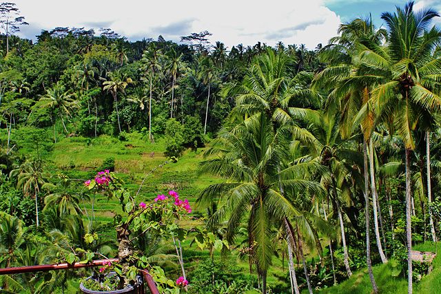 Ubud en Indonesia