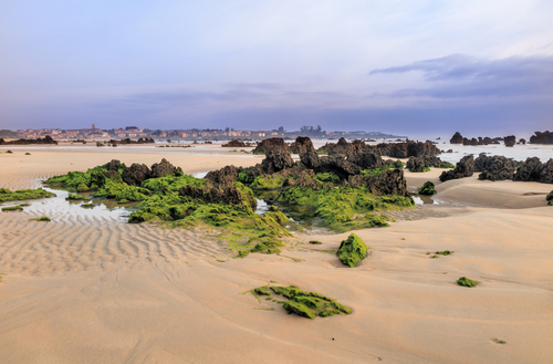 Playa de Trengandín en la costa cántabra