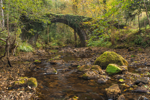 Urdaibai en el País Vasco