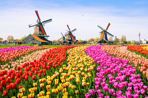 Desde Ámsterdam conoce el pueblo de Zaanse Schans