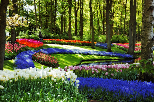 Keukenhof
