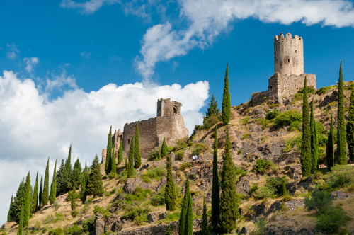 Surdespine en castillos de Lastours