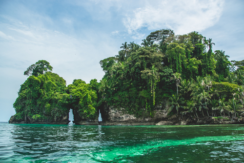 Isla Pájaros en Bocas del Toro