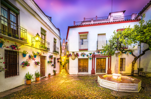 Calleja de las Flores de noche