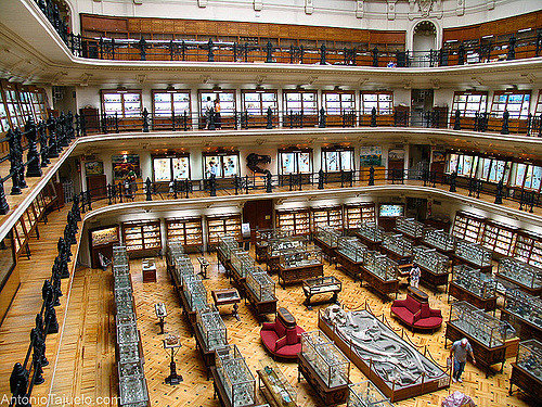 Museo Geominero enChamberí