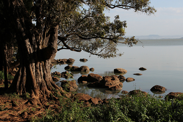 Lago Tana en Etiopía