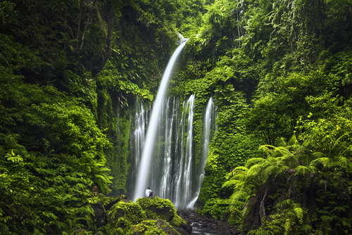 Cascadas en Lombok