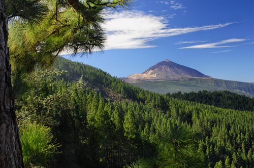 El Teide en el norte deTenerife