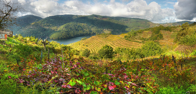Paisaje de la Ribeira Sacra