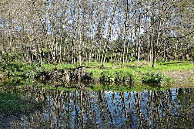 Río Tordera para ir a la Costa Brava con niños