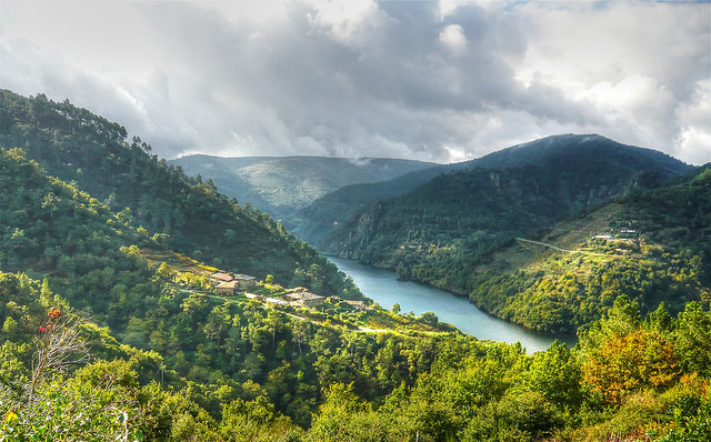 Recorremos la Ribeira Sacra, uno de los tesoros de Galicia