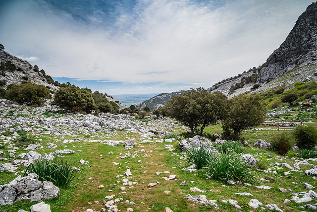Sierra de Grazalema