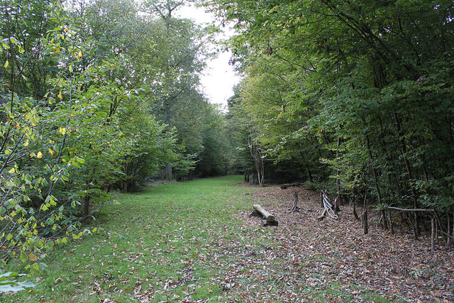 Plucley un pueblo con bosques encantados