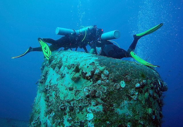 Fondos marinos de Bayahíbe