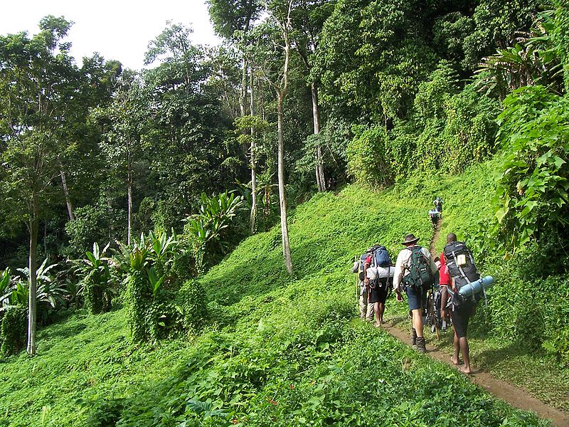 Sendero Kokoda en Paúa Nueva Guinea