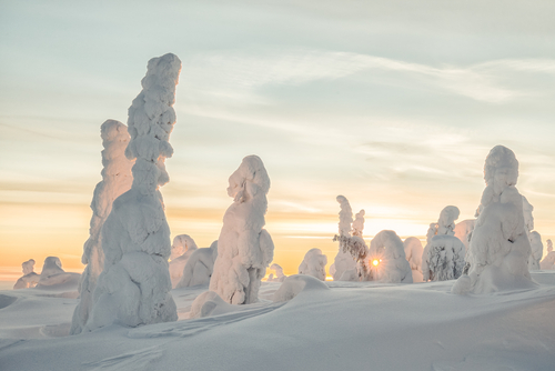 Centinelas del Ártico