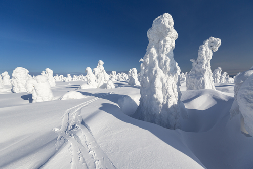 Centinelas de Finlandia