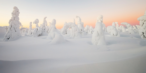 Centinelas de Finlandia