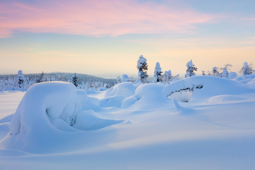 Centinelas de Finlandia con cinturón de venus