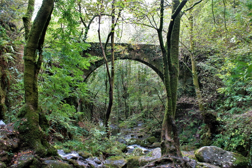 Puente en Fraguas del Eume