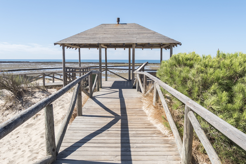 Punta Candor, una de las playas nudistas del sur