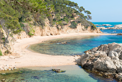 Cala en Port de la Selva