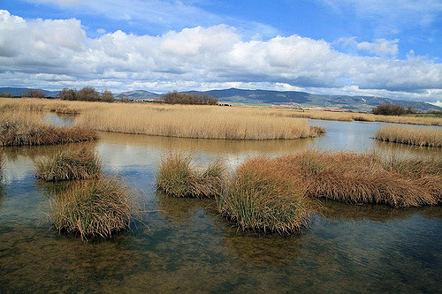 Tablas de Daimiel en Ciudad Real