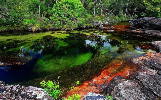 Caño Cristales en Sudamérica