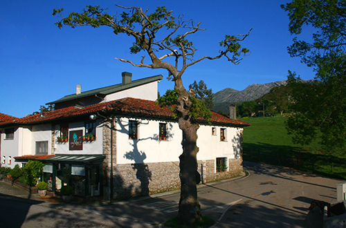 CasaMArcial, restaurante donde preparan croquetas