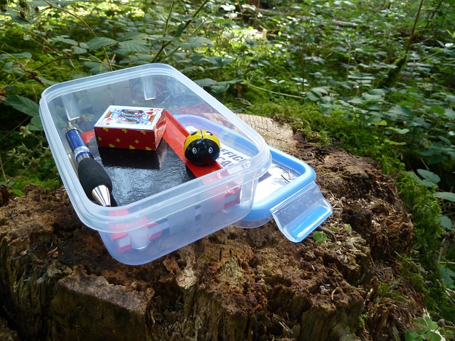 Geocaching: el arte de esconder y encontrar tesoros