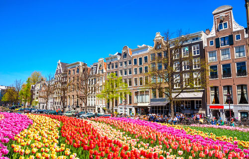 Parque de tulipanes en Ámsterdam