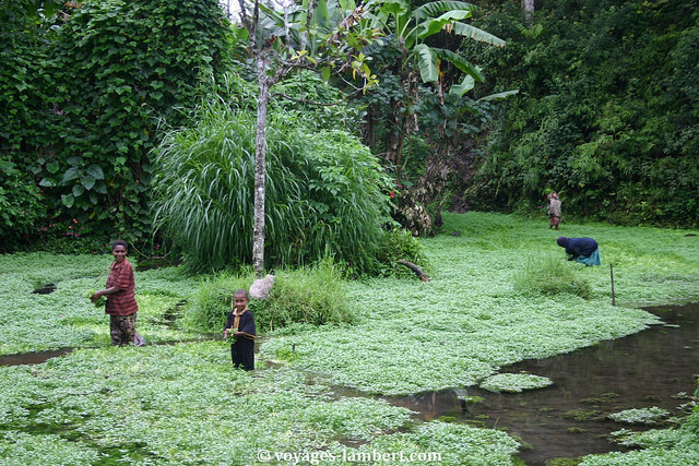 Papúa Nueva Guinea