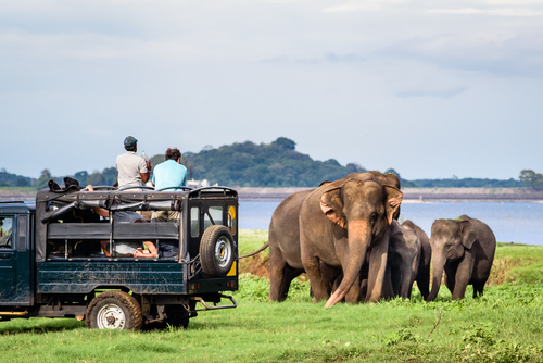 Parque Nacional Minneriya en Sri Lanka
