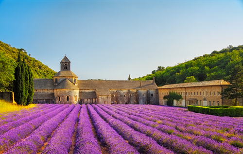 Monasterio de Senanque en la Provenza Francesa