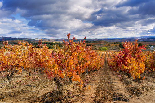 La Rioja en otoño