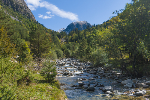 Paisaje del Parque Nacional de Aigüestortes