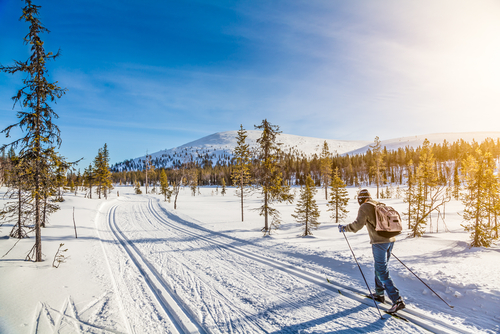 Paisaje nevado de Finlandia