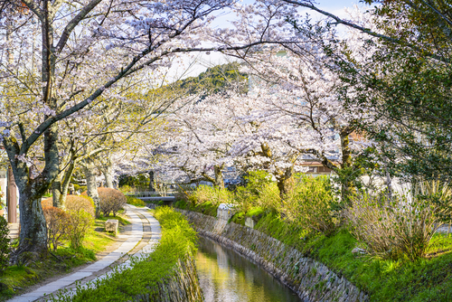 Paseo de los Filósofos en Kioto