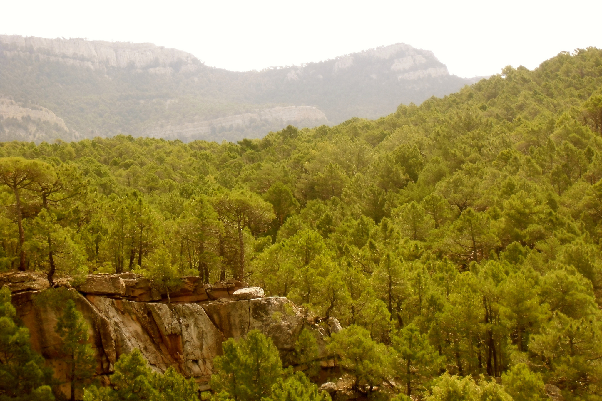 Sierra de Gúdar cerca de Rubielos de Mora