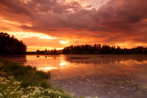Sol de Medianoche en Finlandia